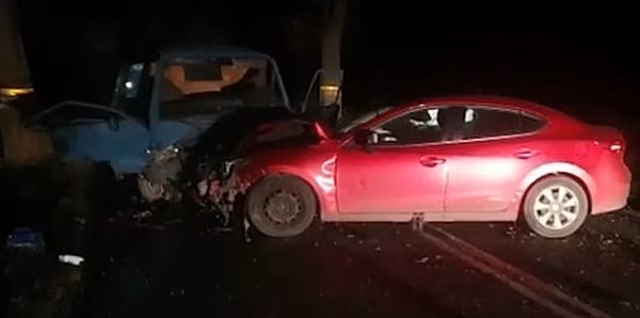 Под Зеленоградском Mаzda сбила косулю и вылетела на встречку