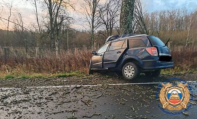 Водителю было 53, пассажирке — 66: подробности смертельной аварии в Калининградской области, где легковушка влетела в дерево
