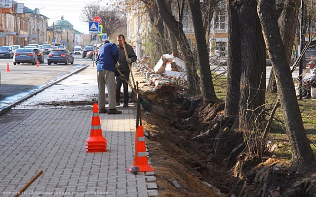 В Рязани при ремонте ограды Верхнего городского сада повредили корни деревьев и кустарников