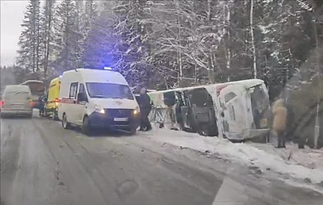 В Карелии перевернулся туристический автобус