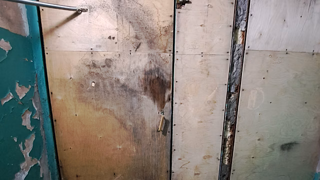 Жительница Ноябрьска пожаловалась на ужасающее состояние подъезда в жилом доме. ФОТО