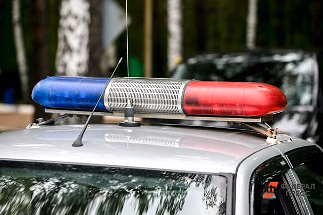 Пассажирский автобус влетел в дерево во Владивостоке: прокуратура проводит проверку