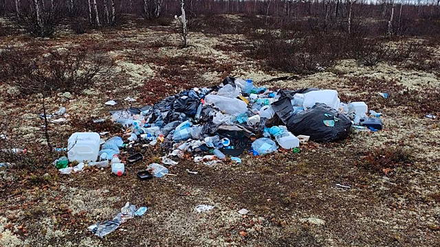 Жители Нового Уренгоя обнаружили несколько несанкционированных свалок. ФОТО
