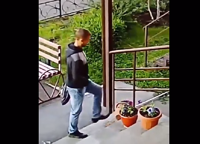 В Благовещенске на видео попал вандал, который справил нужду в цветы на улице и разбил горшки