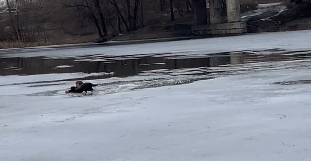 Молодой человек провалился под лёд, спасая тонущую собаку