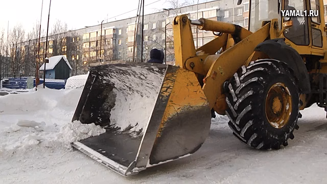 Петербуржцы каждый день по 120 раз жалуются в Комблаг на уборку снега