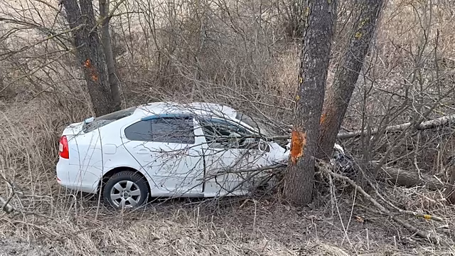 Два человека пострадали в улетевшей в кювет иномарке под Балахной