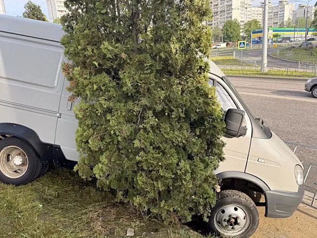 Жительница Рыбного угнала в Воронеже машину и попала в ДТП