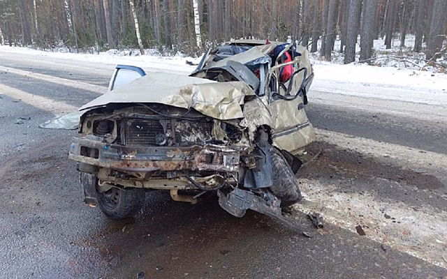 Полиция назвала предполагаемого виновника смертельной аварии под Рязанью