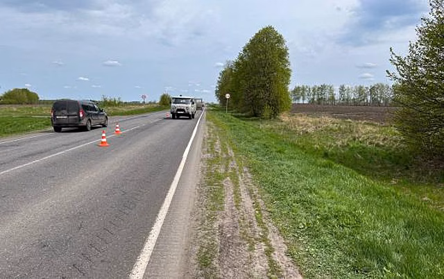 В Курской области водитель насмерть сбил пешехода