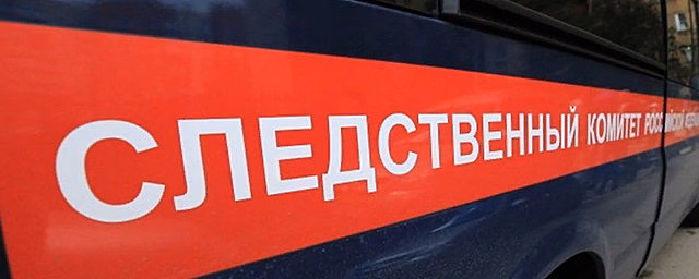 В Кургане собака напала на пятилетнюю девочку