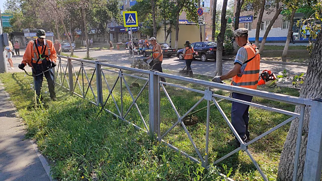 В Оренбурге ежедневно косят сорную растительность