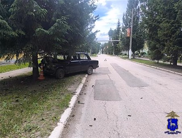 В Новосемейкино пенсионер на авто врезался в дерево и был госпитализирован