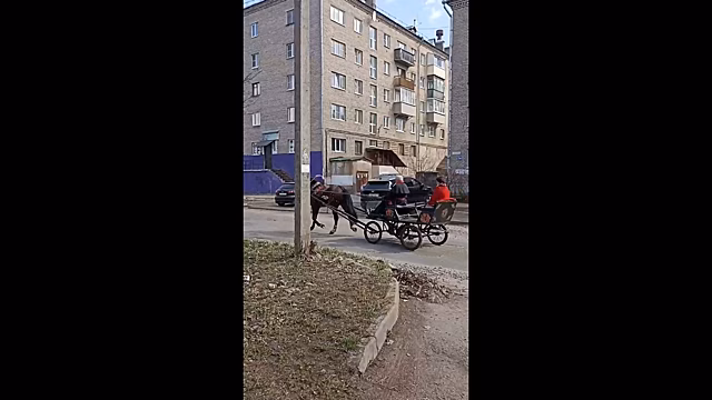 Реформа началась? Костромичи заметили в городе работающий на яблоках транспорт