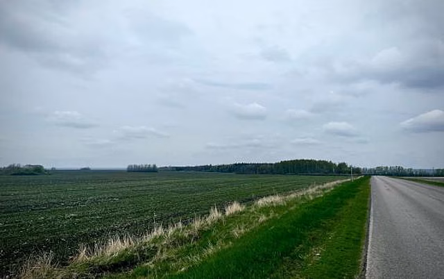 В Курской области продолжают строить подъездную дорогу к плодохранилищу в Мантуровском районе