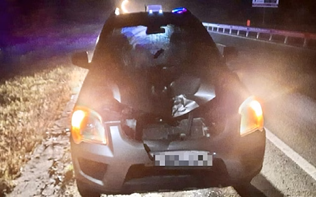 Под Рязанью Kia Sportage насмерть сбил перебегавшую трассу М5 женщину