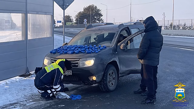 Тюменские автоинспекторы изъяли у наркокурьера порядка 16 кг гашиша