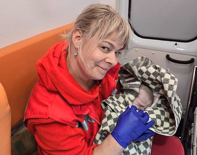 Машина скорой помощи в Новороссийске стала мобильным роддомом