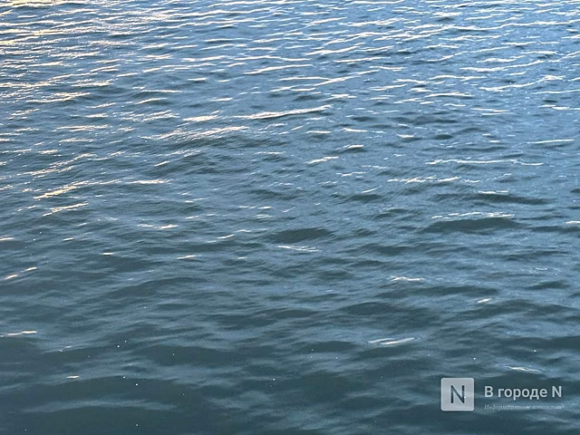 Водолазы не нашли людей в затонувшем в Оке автомобиле под Богородском