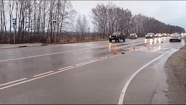 Пешеход погиб на переходе в Павловском районе