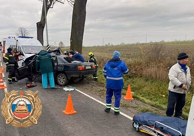 В Зеленоградском районе легковушка врезалась в дерево, один человек погиб, трое получили травмы