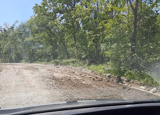 Дороги острова Русский познакомят с асфальтом
