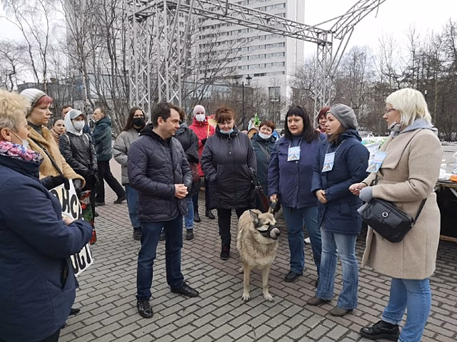 В Заполярье волонтеров могут привлечь для проверки структур, отвечающих за работу с бездомными животными