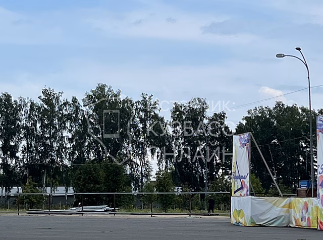 Власти забрали половину парка под Кемеровом для строительства очередного Ледового дворца