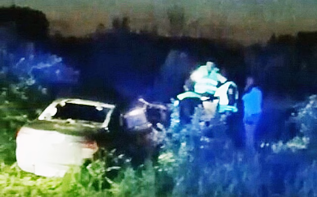 Два человека погибли в ДТП под Ачинском из-за выбежавшего на дорогу лося