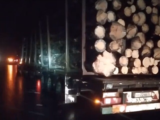Вылетевшее из грузовика бревно раздавило другого водителя под Тюменью