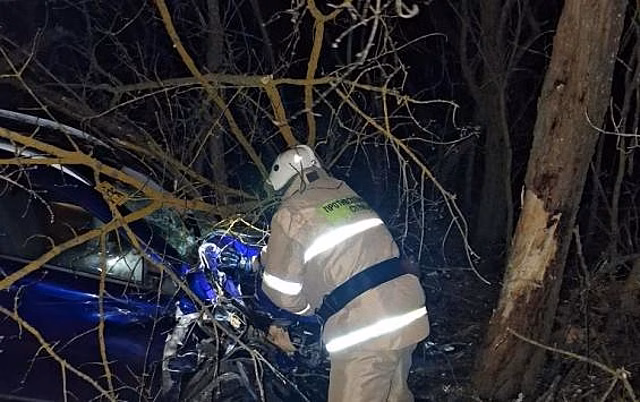 В Курской области 1 апреля «Лада Веста» врезалась в дерево