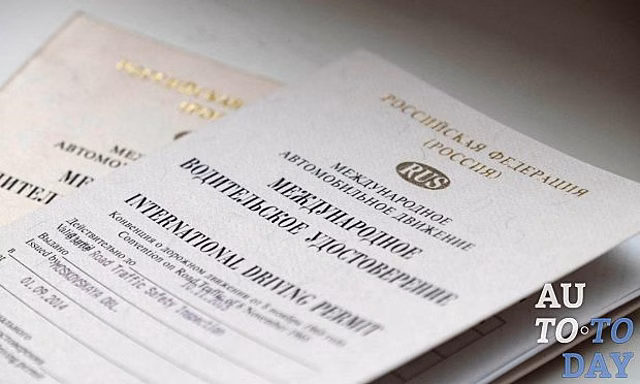 Международное и национальное водительское удостоверение: в чём разница, внешние отличия, особенности