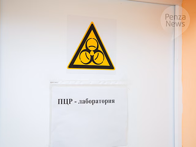 Пензенская область названа среди регионов, где результаты теста на COVID-19 ждут 5–6 дней