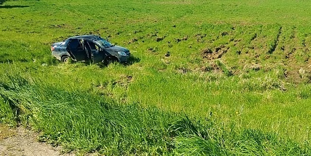 В Малмыжском районе пьяная автоледи на «Гранте» съехала в кювет