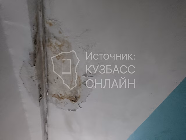 Женщина пожаловалась на работу управляющей компании в Кемерове