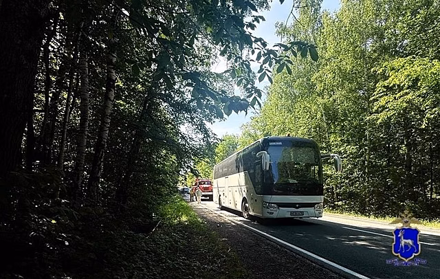 Автобус столкнулся с легковым автомобилем в Самарской области
