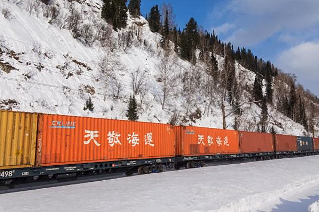 Объем перевозок лесных грузов в контейнерах в 2021 году вырастет на 5,9%