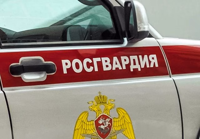 Росгвардейцы помогли беременной женщине, оказавшейся в опасной ситуации на донской дороге