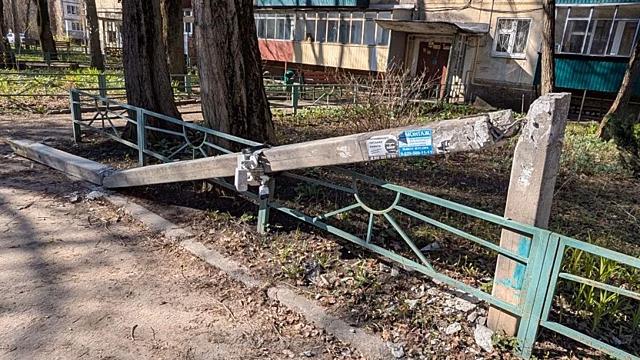 В Липецке упавшее дерево повредило опору ЛЭП