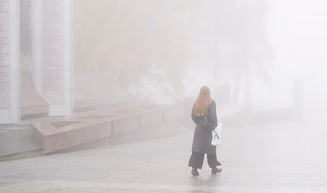 Волгоградским водителям напомнили правила безопасности при поездках в туман
