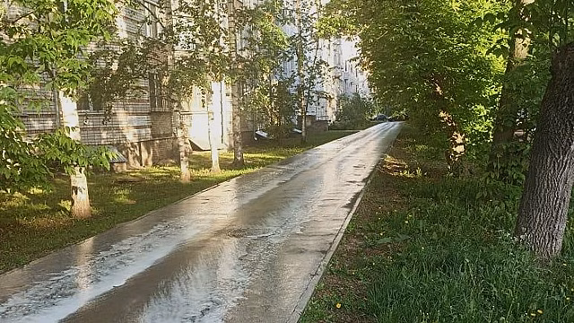 Специалисты отмечают безопасность шампуня при мойке улиц Вологды