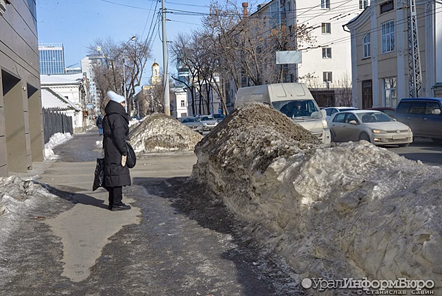 Грязьбург готовится к выборам