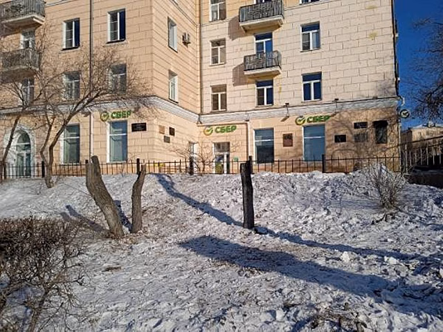 В Улан-Удэ ловят злоумышленников, спиливших деревья на проспекте Победы