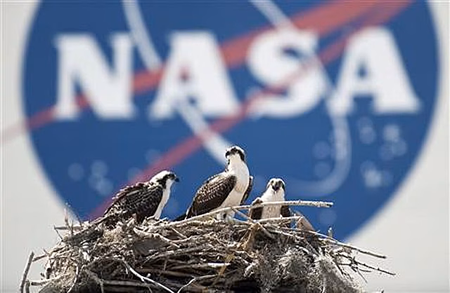 NASA создало непробиваемую шину