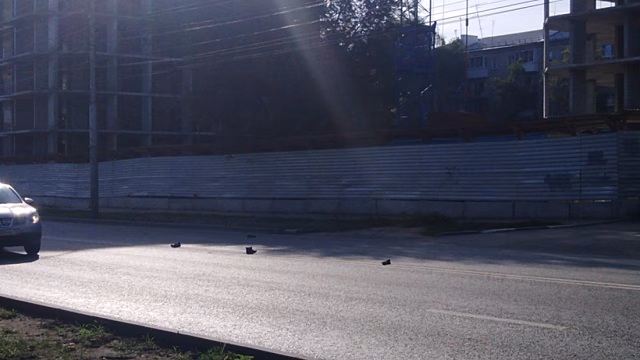 В Саратове устроили «противоаварийную инсталляцию» из разбросанной на дороге обуви