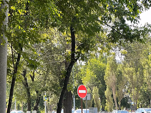 В центре Самары 4 ноября ограничат движение транспорта из-за Крестного хода