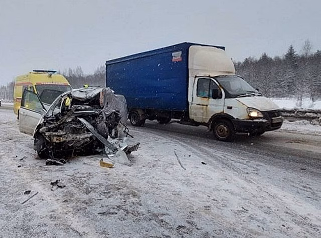 Под Вологдой из-за неправильного перестроения водителя погибли двое детей