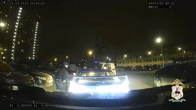 Более 250 водителей с признаками опьянения выявили в Москве с начала недели