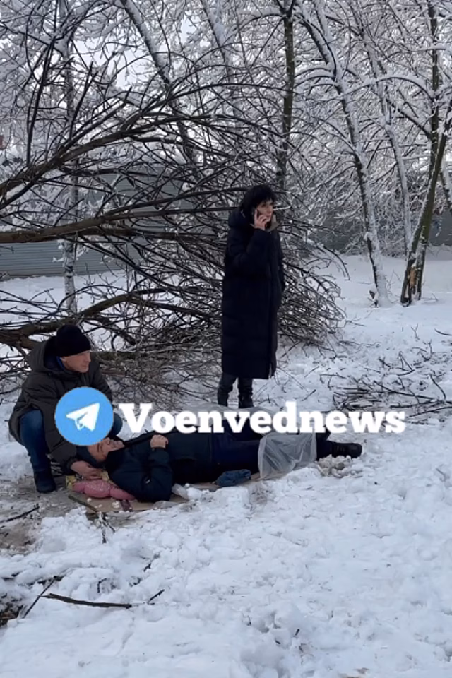 В Октябрьском районе Ростова пожилого мужчину придавило упавшей из-за снегопада веткой