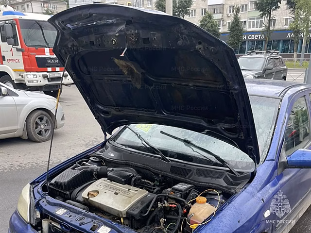 В Брянске на Авиационной вспыхнул автомобиль